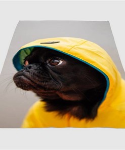 Fashion Dog Sherpa Fleece Blanket Gifts for Family, for Couple