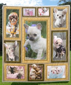 Funny Chihuahua Dog Quilt Blanket Bedding Set for Home Décor
