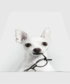Glasses Dog Sherpa Fleece Blanket Gifts for Family, for Couple