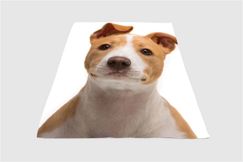Happy Dog Sherpa Fleece Blanket Gifts for Family, for Couple