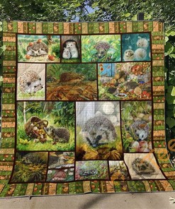 Hedgehog Quilt Blanket Bedding Set With Pilliwcases Option Gift For Fan