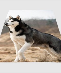 Husky Dog Black White Sherpa Fleece Blanket Gifts for Family, for Couple
