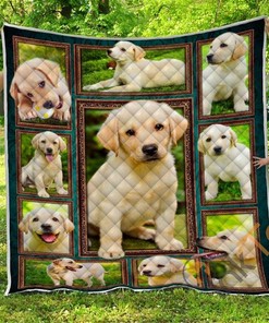 Labrador Retriever Quilt Blanket Bedding Set With Pillowcase Option