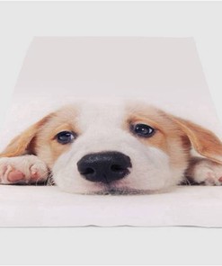 Lazy Dog Sherpa Fleece Blanket Gifts for Family, for Couple
