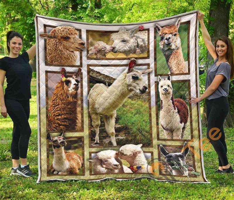 Llama Quilt Blanket Bedding Set
