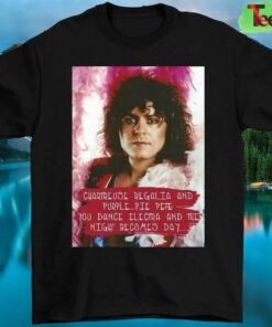Mother Love Bone Favorite T-Shirt