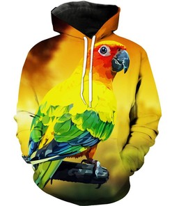 Parrot Colorful Animal Bird Hoodie 3D