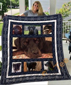 Personalize Your Bedroom with Carol Quilt And Pillowcase Set