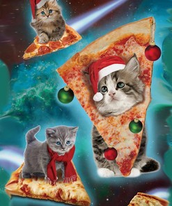 Personalized Cat With Pizza In Space Pet Lovers Gift Sherpa Fleece Blanket Gifts for Family, for Couple