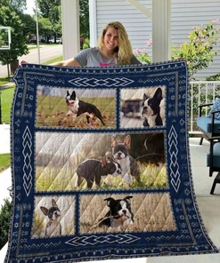 Play On The Pampasgrass Boston Terrier Quilt Blanket