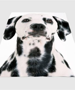 Polkadot Dog Sherpa Fleece Blanket Gifts for Family, for Couple