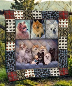 Pomeranian Pets Dog Cute Quilt Blanket