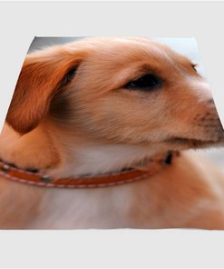 Pose Dog Sherpa Fleece Blanket Gifts for Family, for Couple