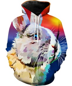 Rabbit Cute Rabbit Animal Hoodie 3D