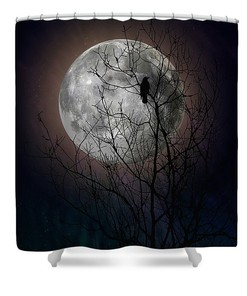 Raven Bird Moon Tree Shower Curtain Moon Glow