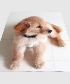 Soft Dog Sherpa Fleece Blanket Gifts for Family, for Couple