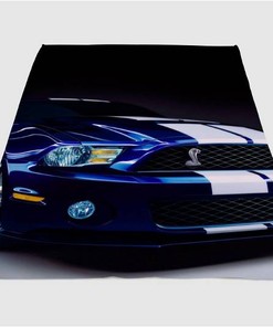 Specular Car Fancy Sherpa Fleece Blanket Gifts for Family, for Couple