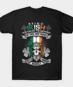 St. Patrick's Day Being Irish You Know The Meaning Of These Three Words Shirt