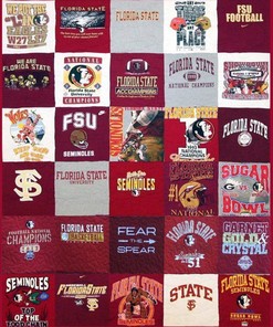 The Florida State Seminoles Blanket for Home Décor