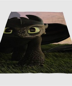 Toothless Sherpa Fleece Blanket Gifts for Family, for Couple