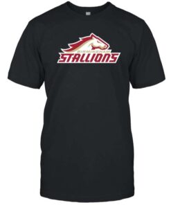 Usfl Birmingham Stallions Logo T-Shirt