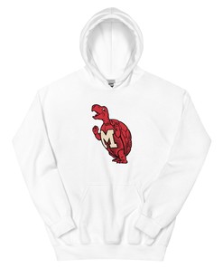 Vintage Maryland Hoodie Sweatshirt Shirt Gifts for Fans - 1963 Terrapins Art