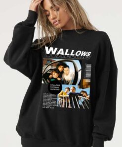 Wallows Dylan Minnette T-Shirt