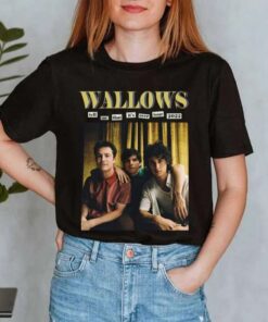 Wallows Tour 2022 Wallows Indie Rock Band T-Shirt