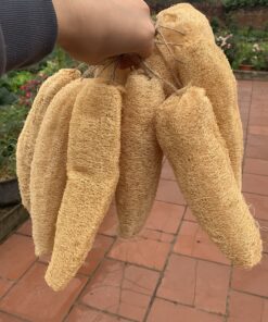 Natural Loofah Sponge