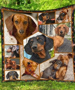 Basset Hound I Love Long Ears Personalized Quilt Blanket Bedding Set, Perfect for Bedroom Decor and Family Gifts