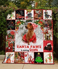 Boston Terrier Oh My Dog Quilt Bedding Set - Great for Bedroom Decor and Family Gifts