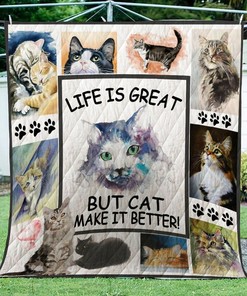 Cat I Needed A Hand Quilt Bedding Set with Custom Name, Suitable for Home Decor and Picnic