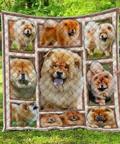 Customizable Cat Whiskers Quilt Bedding Set for Bedroom Decoration, Great for Family Gifts