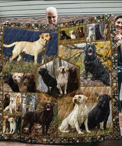 Customizable Golden Retriever Play With Me Quilt Bedding Set - Perfect for Bedroom Decoration