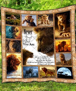 Customized The Lion King Quilt Bedding Set, Great for Bedroom Decoration and Family Gifts