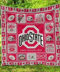 Fan Ohio State Buckeyes Amazing Gift Idea Quilt Bedding Set Bedroom Decor, Gifts for Family