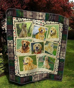 Golden 1 Quilt Bedding Set Bedroom Decor, Gifts for Family
