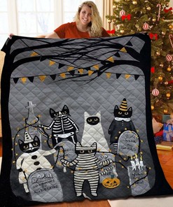 Halloween Quilt and Pillowcases - Gifts for Family and Hobby