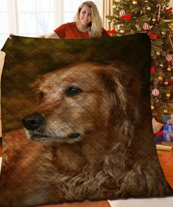 Heartwarming Golden Retriever Quilt Blanket Set for Cozy Home Decoration - Great Gifts for Family