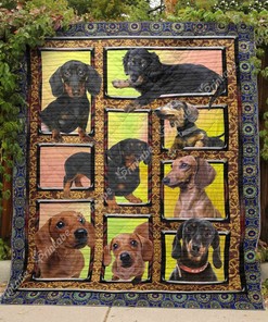 Personalized Border Collie Baby Im Real Quilt Bedding Set for Home Decoration, Great for Bedroom Decor and Family Gifts