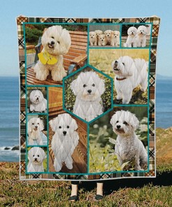 Personalized Boxer Puppy Quilt Bedding Set - Great for Bedroom Decor and Family Gifts