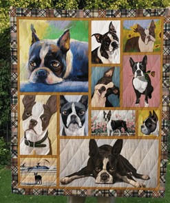 Personalized Bull Terrier Quilt Bedding Set for Home Decoration and Family Gifts