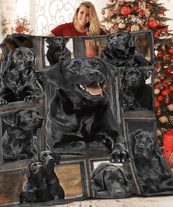 Personalized Bulldog Talk To The Paw Dog Quilt Bedding Set Gifts for Fans