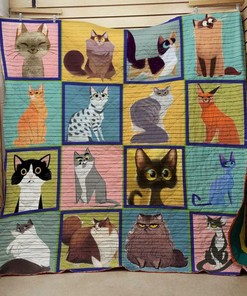 Personalized Cat 5030093 Quilt Bed Set Blanket, Suitable for Home Decor and Picnic, Gifts for Family