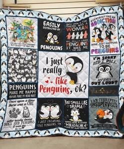 Personalized Cat I Like Cat With Flower Quilt Bedding Set for Home Decoration, Gifts for Family