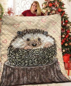 Personalized Hedgehog Quilt Bedding Set Bedroom Decor, Gifts for Family