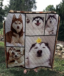 Personalized Husky Dog 4 Quilt Bedding Set Blanket - Great for Home Decoration and Family Gifts