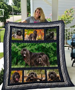 Personalized Newfoundland 5 Quilt Bedding Set for Bedroom Decor and Family Gifts