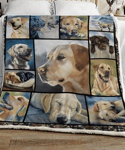 Pug Raining Men Personalized Quilt Bedding Set for Family Gifts