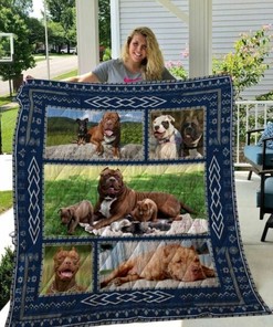 Steely Dan Album Cover Quilt Bedding Set, Great Gifts for Family and Home Decoration
